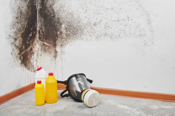 Best Crawl Space Mold Removal  in Overlea, MD