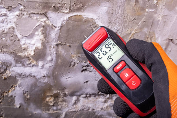 Best Commercial Mold Removal  in Overlea, MD