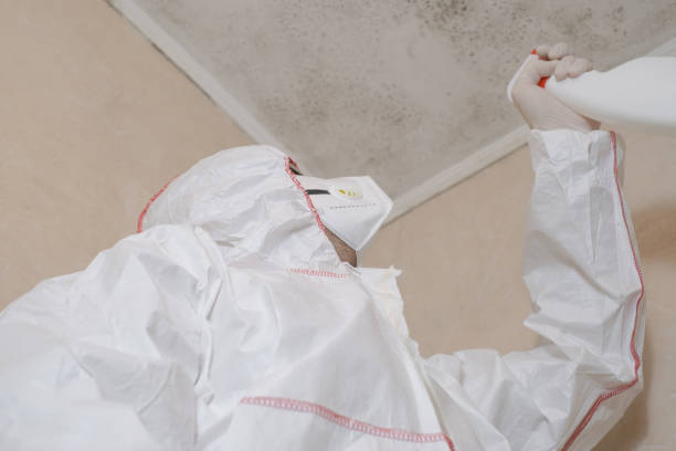 Best Office Mold Removal Services  in Overlea, MD