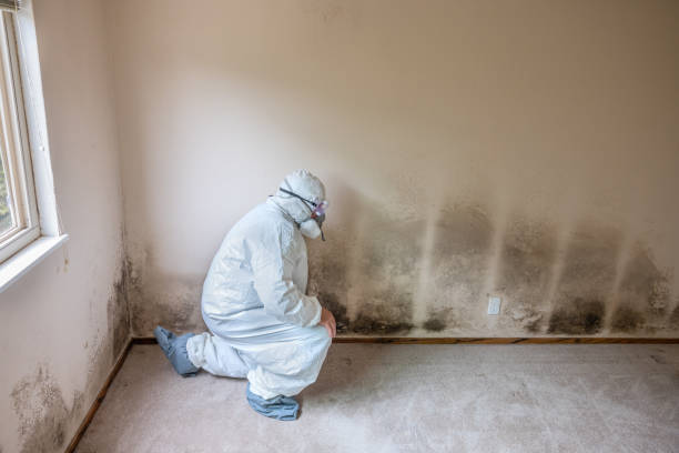 Best Mold Testing  in Overlea, MD